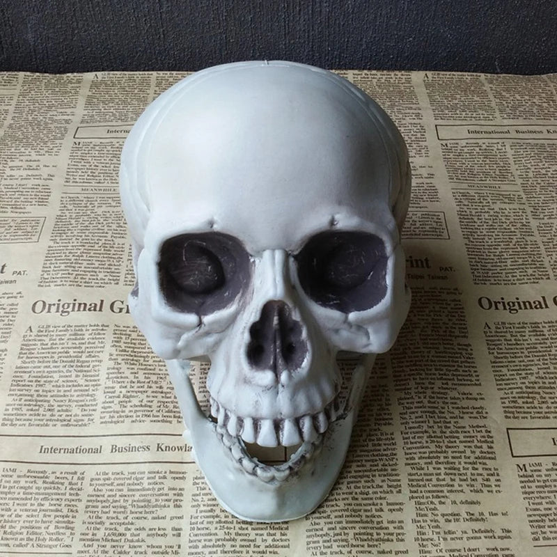 Statues Sculptures Halloween Decorations Artificial Skull Head Model Plastic Skull Bone Scary Horror Skeleton Party Bar Ornament